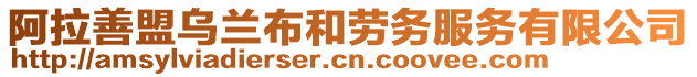 阿拉善盟烏蘭布和勞務(wù)服務(wù)有限公司