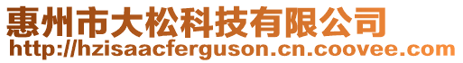 惠州市大松科技有限公司