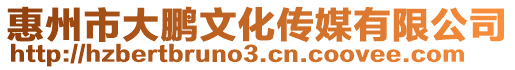 惠州市大鵬文化傳媒有限公司