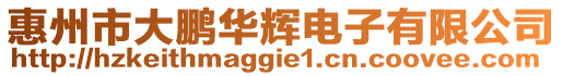 惠州市大鵬華輝電子有限公司