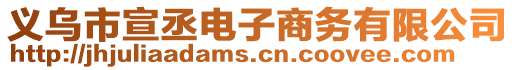 義烏市宣丞電子商務(wù)有限公司