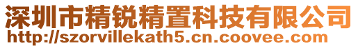 深圳市精銳精置科技有限公司