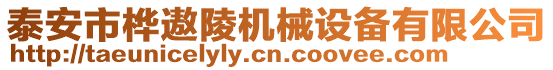 泰安市樺遨陵機械設(shè)備有限公司