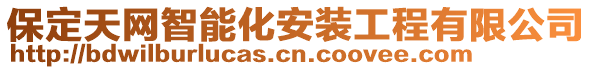 保定天網(wǎng)智能化安裝工程有限公司