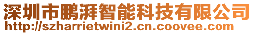 深圳市鵬湃智能科技有限公司