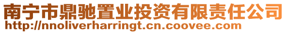 南寧市鼎馳置業(yè)投資有限責(zé)任公司