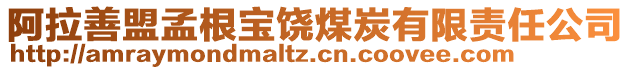 阿拉善盟孟根寶饒煤炭有限責任公司