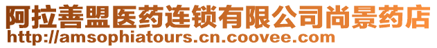 阿拉善盟醫(yī)藥連鎖有限公司尚景藥店