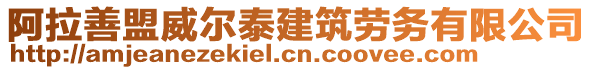 阿拉善盟威爾泰建筑勞務(wù)有限公司