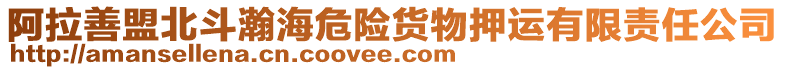 阿拉善盟北斗瀚海危險貨物押運有限責(zé)任公司