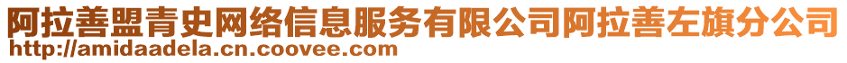 阿拉善盟青史網(wǎng)絡信息服務有限公司阿拉善左旗分公司