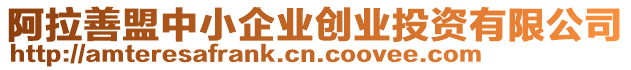 阿拉善盟中小企業(yè)創(chuàng)業(yè)投資有限公司