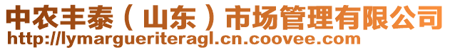 中農(nóng)豐泰（山東）市場管理有限公司