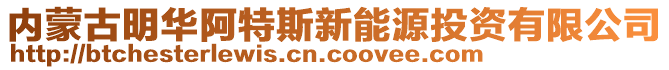 內(nèi)蒙古明華阿特斯新能源投資有限公司