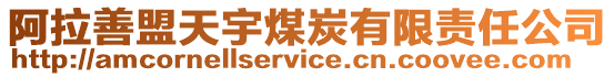 阿拉善盟天宇煤炭有限責任公司