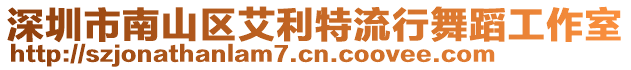 深圳市南山區(qū)艾利特流行舞蹈工作室