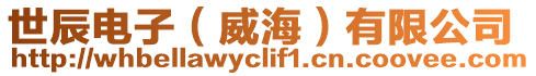 世辰電子(威海)有限公司
