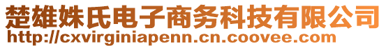 楚雄姝氏電子商務(wù)科技有限公司