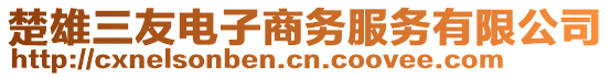 楚雄三友電子商務(wù)服務(wù)有限公司