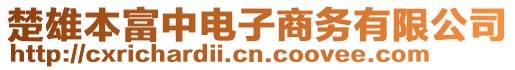 楚雄本富中電子商務(wù)有限公司