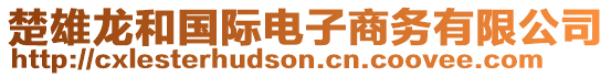 楚雄龍和國(guó)際電子商務(wù)有限公司