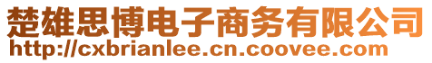 楚雄思博電子商務有限公司