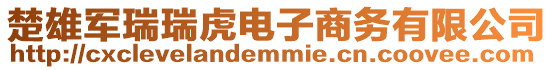 楚雄軍瑞瑞虎電子商務有限公司