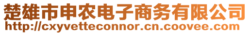 楚雄市申農(nóng)電子商務(wù)有限公司