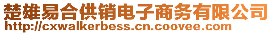 楚雄易合供銷電子商務有限公司