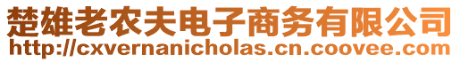 楚雄老農(nóng)夫電子商務(wù)有限公司