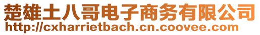 楚雄土八哥電子商務(wù)有限公司