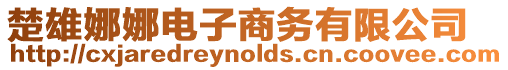 楚雄娜娜電子商務有限公司