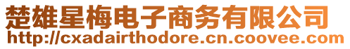 楚雄星梅電子商務有限公司