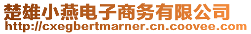 楚雄小燕電子商務(wù)有限公司