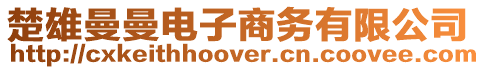 楚雄曼曼電子商務有限公司