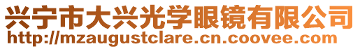 興寧市大興光學眼鏡有限公司