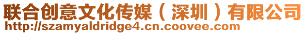 聯(lián)合創(chuàng)意文化傳媒(深圳)有限公司