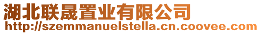 湖北聯晟置業有限公司