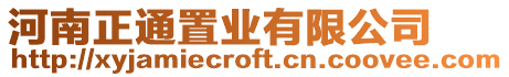 河南正通置業有限公司