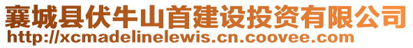 襄城縣伏牛山首建設投資有限公司