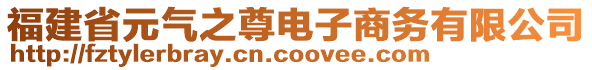 福建省元氣之尊電子商務有限公司