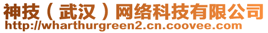 神技（武漢）網(wǎng)絡(luò)科技有限公司