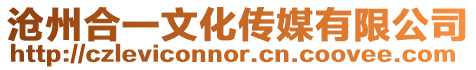 滄州合一文化傳媒有限公司