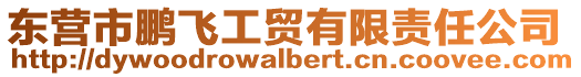 東營(yíng)市鵬飛工貿(mào)有限責(zé)任公司