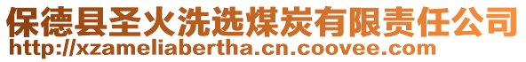 保德縣圣火洗選煤炭有限責任公司