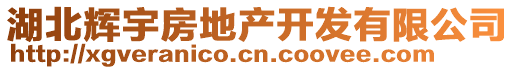 湖北輝宇房地產(chǎn)開發(fā)有限公司