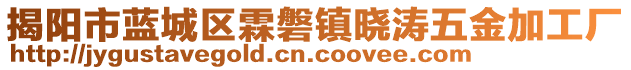 揭陽市藍(lán)城區(qū)霖磐鎮(zhèn)曉濤五金加工廠