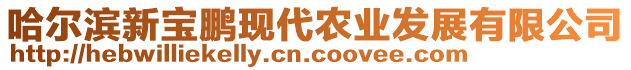 哈爾濱新寶鵬現(xiàn)代農(nóng)業(yè)發(fā)展有限公司