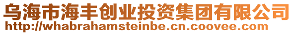 烏海市海豐創(chuàng)業(yè)投資集團有限公司