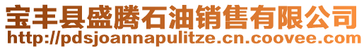 寶豐縣盛騰石油銷售有限公司